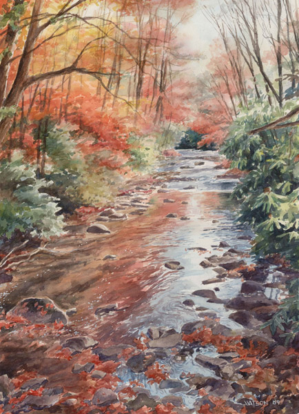 Pisgah Stream Autumn